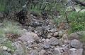 Madera Canyon small creek